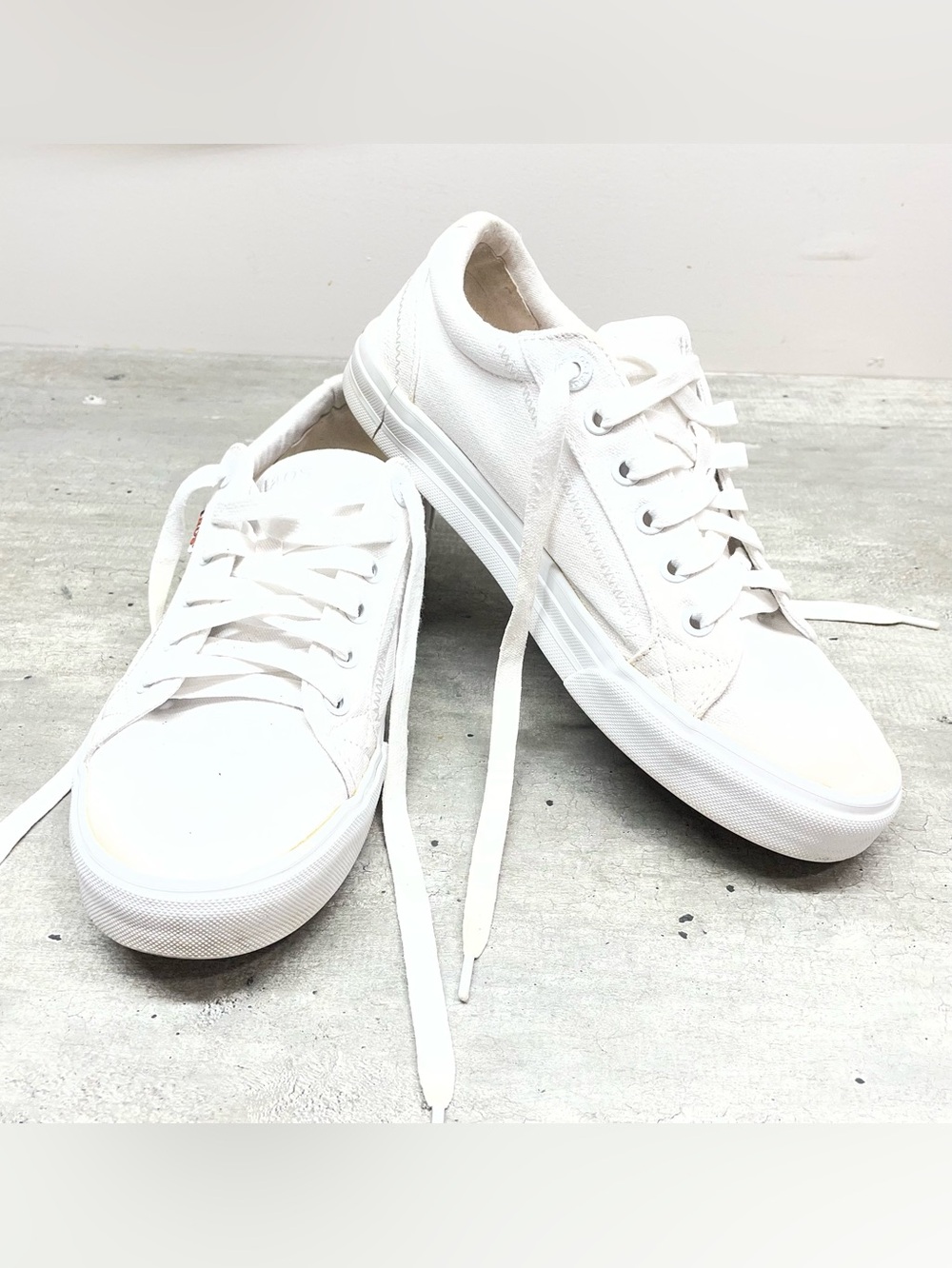 Taos Footwear White Low-Top Canvas Sneakers